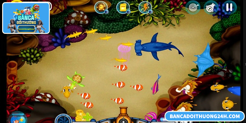 Cwin bắn cá – nền tảng giải trí bắn cá đổi thưởng ổn định