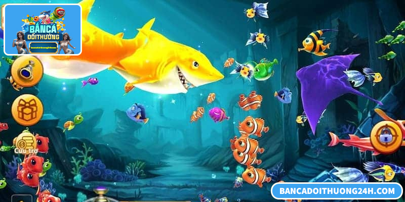 Giải thích code bắn cá xèng, cách nhận và sử dụng hiệu quả