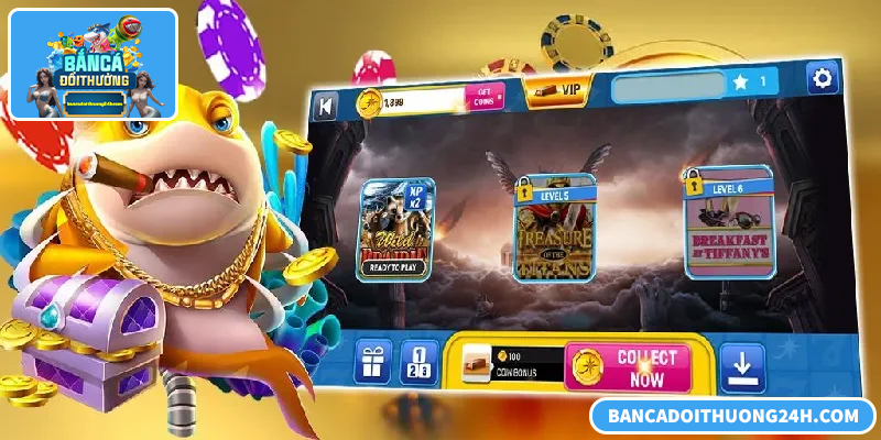 Tổng hợp lý do bắn cá máy xèng online được người chơi ưa chuộng