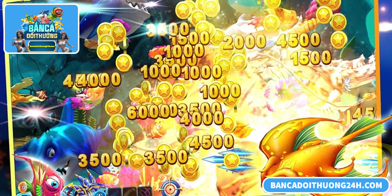 Trải nghiệm săn rồng kịch tính, đổi thưởng minh bạch, giá trị cao